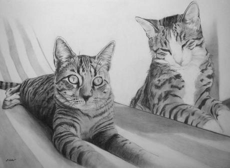 Murmeli & Wieseli - Katzenportraits (2003) -Stefan - Stefan Weber - Array auf - Array - Murmeli & Wieseli - Katzenportraits (2003) -Stefan - Stefan Weber - Array auf - Array -