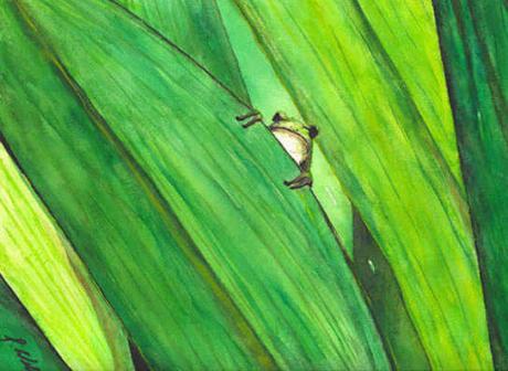 Laubfrosch (2003) Stefan Weber - Stefan Weber - Array auf Array - Array - Laubfrosch (2003) Stefan Weber - Stefan Weber - Array auf Array - Array -