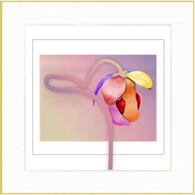 Orchidee (2003) Armin Mumper - Armin Noris - Array auf - Array - Orchidee (2003) Armin Mumper - Armin Noris - Array auf - Array -