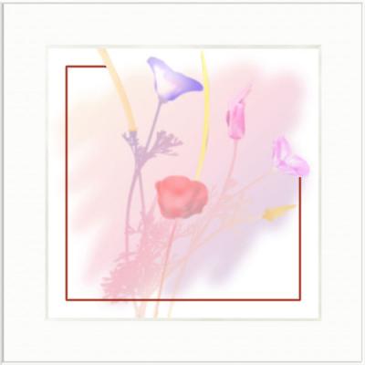 Strauss (2003) Armin Mumper - Armin Noris - Array auf - Array - Strauss (2003) Armin Mumper - Armin Noris - Array auf - Array -