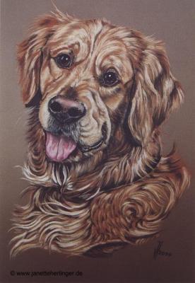 Golden Retriever Chess (2000) Janette Herlinger - Janette Herlinger - Array auf - Array - Golden Retriever Chess (2000) Janette Herlinger - Janette Herlinger - Array auf - Array -