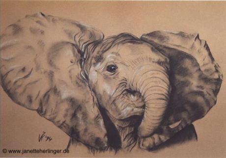 Baby-Elefant (1994) Janette Herlinger - Janette Herlinger - Array auf - Array - Baby-Elefant (1994) Janette Herlinger - Janette Herlinger - Array auf - Array -