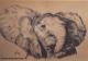 Baby-Elefant (1994) Janette Herlinger - Janette Herlinger - Pastell-Kohle auf - Sonstiges-Elefanten - Baby-Elefant (1994) Janette Herlinger - Janette Herlinger - Pastell-Kohle auf - Sonstiges-Elefanten -