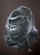 Gorilla (2003) Janette Herlinger - Janette Herlinger - Pastell-Kohle auf - Sonstiges - Gorilla (2003) Janette Herlinger - Janette Herlinger - Pastell-Kohle auf - Sonstiges -