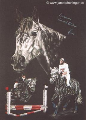Militarypferd Lenamore (2002) Janette Herlinger - Janette Herlinger - Array auf - Array - Militarypferd Lenamore (2002) Janette Herlinger - Janette Herlinger - Array auf - Array -