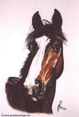 Westfalenwallach Lucky (2002) Janette Herlinger - Janette Herlinger - Array auf Array - Array - Westfalenwallach Lucky (2002) Janette Herlinger - Janette Herlinger - Array auf Array - Array -