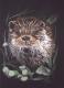 Otter (2003) Janette Herlinger - Janette Herlinger - Pastell auf - Sonstiges - Otter (2003) Janette Herlinger - Janette Herlinger - Pastell auf - Sonstiges -