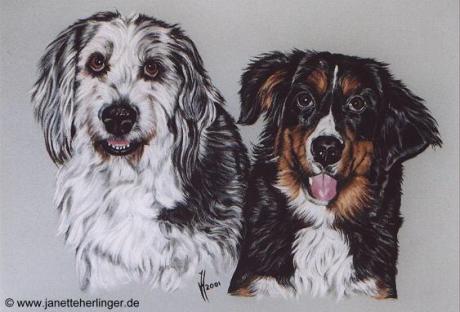 Mischlingshunde Polly + Merlin (2001) Janette Herl - Janette Herlinger - Array auf - Array - Mischlingshunde Polly + Merlin (2001) Janette Herl - Janette Herlinger - Array auf - Array -