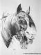 Gähnendes Pferd (1988) Janette Herlinger - Janette Herlinger - Kohle auf Papier - Sonstiges-Pferde - Gähnendes Pferd (1988) Janette Herlinger - Janette Herlinger - Kohle auf Papier - Sonstiges-Pferde -