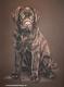 Labrador-Hündin Josy (2007) - Janette Herlinger - Pastell-Kohle auf - Sonstiges - Labrador-Hündin Josy (2007) - Janette Herlinger - Pastell-Kohle auf - Sonstiges -