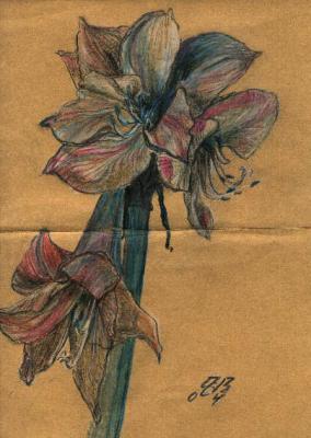 Amaryllis1 (2004) Manfed Dübelt - Manfred Dübelt - Array auf - Array - Amaryllis1 (2004) Manfed Dübelt - Manfred Dübelt - Array auf - Array -