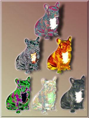 Bullypyramide (2000) Bernhard Keller - Bernhard Keller - Array auf - Array - Bullypyramide (2000) Bernhard Keller - Bernhard Keller - Array auf - Array -