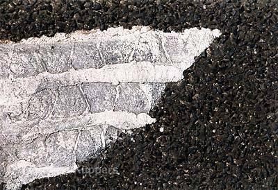 Asphalt Landscapes, K 36 (2003), Robert Küppers - Robert Küppers - auf - Array - Asphalt Landscapes, K 36 (2003), Robert Küppers - Robert Küppers - auf - Array -