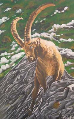 Viva la Grischa (2004) - Dida (Diana Weisbender) - Dida - Array auf Array - Array - Viva la Grischa (2004) - Dida (Diana Weisbender) - Dida - Array auf Array - Array -