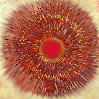 Klang (2008) - Regina Sykora - Array auf - Array - Klang (2008) - Regina Sykora - Array auf - Array -