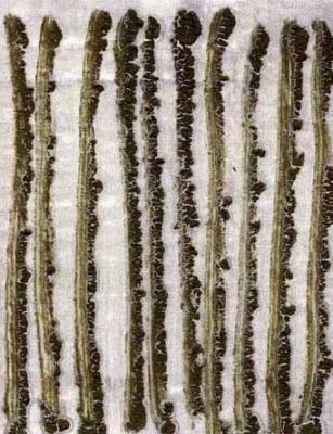 mein Kind lügt nicht 12 (2001) Georgus - GEORGUS - Array auf Array - Array - mein Kind lügt nicht 12 (2001) Georgus - GEORGUS - Array auf Array - Array -