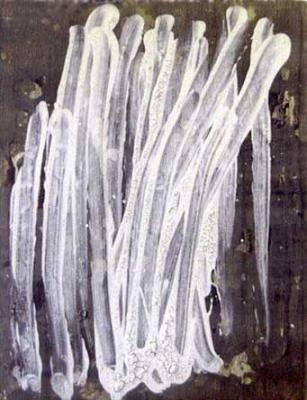 mein Kind lügt nicht 14 (2002) Georgus - GEORGUS - Array auf Array - Array - mein Kind lügt nicht 14 (2002) Georgus - GEORGUS - Array auf Array - Array -