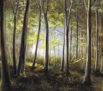 Buchenmischwald - Carl W. Röhrig - Carl W. Röhrig - auf - Array - Buchenmischwald - Carl W. Röhrig - Carl W. Röhrig - auf - Array -