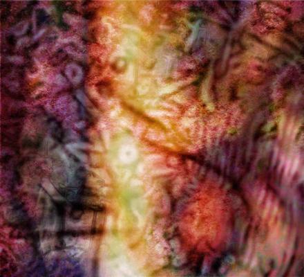 UnterderHautrot (2007) - Harald Ott - auf - Array - UnterderHautrot (2007) - Harald Ott - auf - Array -