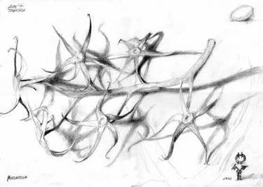 Mozzarella (2003) Harald Ott - Harald Ott - Array auf Array - Array - Mozzarella (2003) Harald Ott - Harald Ott - Array auf Array - Array -