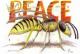 peace wasp (2003) Harald Ott - Harald Ott - Aquarell-Bleistift auf Papier - Sonstiges - peace wasp (2003) Harald Ott - Harald Ott - Aquarell-Bleistift auf Papier - Sonstiges -