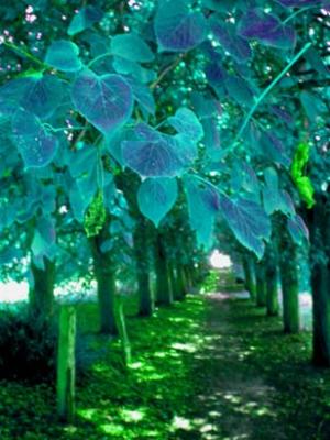 Weg (2003) Kim Kraska - Kim Kraska - auf - Array - Weg (2003) Kim Kraska - Kim Kraska - auf - Array -