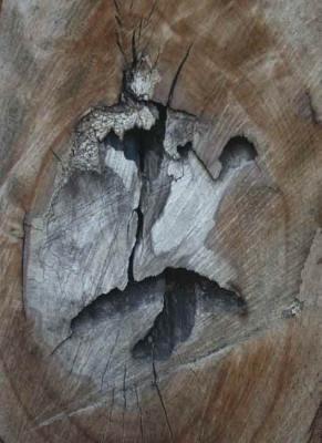 44. Tanzendes Gesicht - Burre Carmen - auf - Array - 44. Tanzendes Gesicht - Burre Carmen - auf - Array -