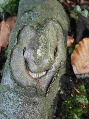 10. Der Grinser - Burre Carmen - auf - Array - 10. Der Grinser - Burre Carmen - auf - Array -