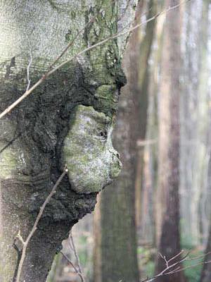 8. Clochard 1 - Burre Carmen - auf - Array - 8. Clochard 1 - Burre Carmen - auf - Array -