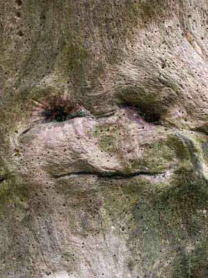 29. LIEBES WESEN - Burre Carmen - auf - Array - 29. LIEBES WESEN - Burre Carmen - auf - Array -