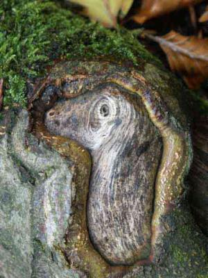 19. Geburt - Burre Carmen - auf - Array - 19. Geburt - Burre Carmen - auf - Array -