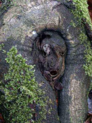 22.Gerome Ausschnitt Verlag - Burre Carmen - auf - Array - 22.Gerome Ausschnitt Verlag - Burre Carmen - auf - Array -