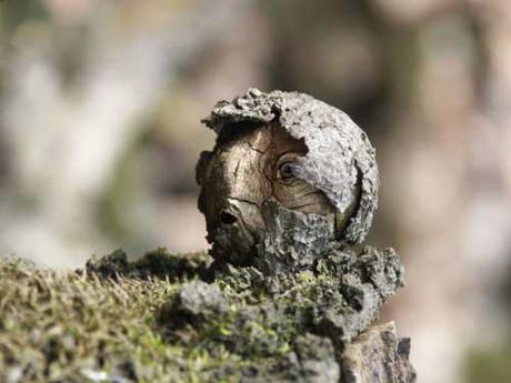 Urmel - Burre Carmen - auf - Array - Urmel - Burre Carmen - auf - Array -