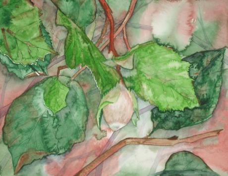 Hasel im Herbst (2006) - Hanka & Frank Koebsch - Array auf Array - Array - Hasel im Herbst (2006) - Hanka & Frank Koebsch - Array auf Array - Array -