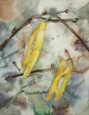 Hasel im Frühling 3 (2006) - Hanka & Frank Koebsch - Array auf Array - Array - Hasel im Frühling 3 (2006) - Hanka & Frank Koebsch - Array auf Array - Array -