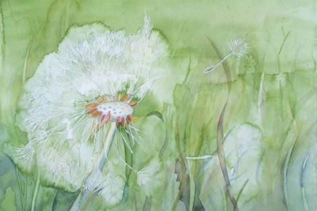 Pusteblume 2008 - Hanka & Frank Koebsch - Array auf Array - Array - Pusteblume 2008 - Hanka & Frank Koebsch - Array auf Array - Array -