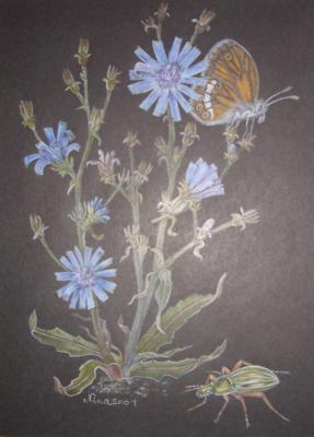 Wegwarte mit Schmetterling (2001) - Nina Engel - auf - Array - Wegwarte mit Schmetterling (2001) - Nina Engel - auf - Array -