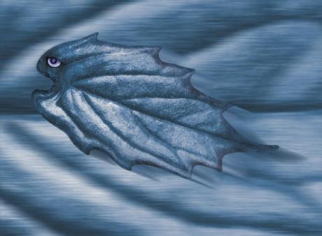 01-200 Adolo (2005) - Ulrich Hohloch - auf - Array - 01-200 Adolo (2005) - Ulrich Hohloch - auf - Array -