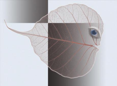 01-418 Semolo (2006) - Ulrich Hohloch - auf - Array - 01-418 Semolo (2006) - Ulrich Hohloch - auf - Array -