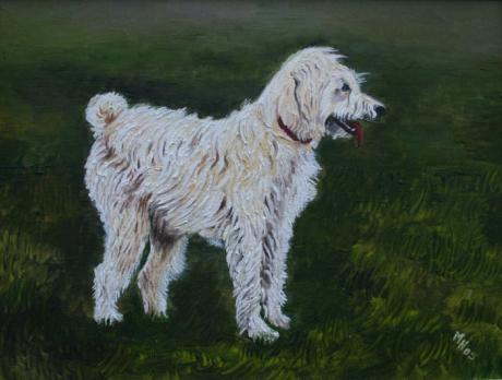 Hund Jordi (2004) - Marion Hammerl - Array auf Array - Array - Hund Jordi (2004) - Marion Hammerl - Array auf Array - Array -