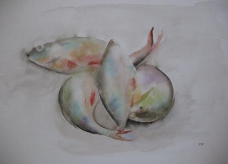 Fische - Emma Anders - Array auf Array - Array - Array Fische - Emma Anders - Array auf Array - Array - Array