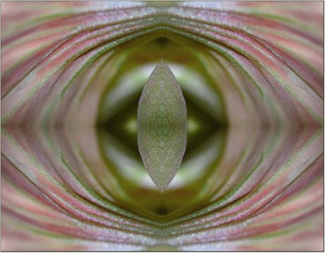 The Eye (2006) - Christine Gross - auf - Array - The Eye (2006) - Christine Gross - auf - Array -