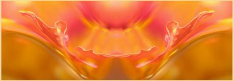 Praise (2006) - Christine Gross - auf - Array - Praise (2006) - Christine Gross - auf - Array -