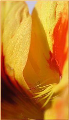 Chimney (2006) - Christine Gross - auf - Array - Chimney (2006) - Christine Gross - auf - Array -