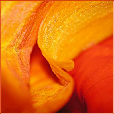 Cave (2006) - Christine Gross - auf - Array - Cave (2006) - Christine Gross - auf - Array -