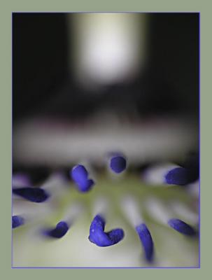 Sticks II (2006) - Christine Gross - auf - Array - Sticks II (2006) - Christine Gross - auf - Array -