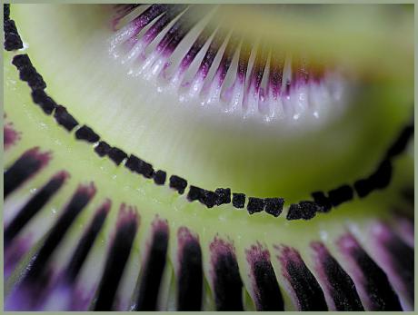 Sticks III (2006) - Christine Gross - auf - Array - Sticks III (2006) - Christine Gross - auf - Array -