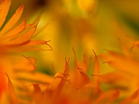 Einblick (2006) - Christine Gross - auf - Array - Einblick (2006) - Christine Gross - auf - Array -