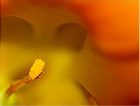 innen (2006) - Christine Gross - auf - Array - innen (2006) - Christine Gross - auf - Array -