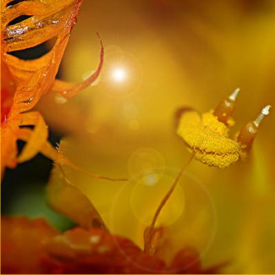 little devil inside (2006) - Christine Gross - auf - Array - little devil inside (2006) - Christine Gross - auf - Array -